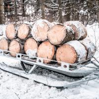 Ski sled (platform trailer on skis)