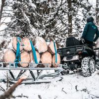 Ski sled (platform trailer on skis)