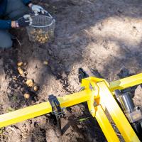 Potato harvester Potato plow (Receiver Mount System)